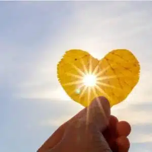 Naar Binnen en Naar Buiten | 6 september 2021