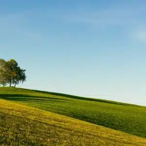 Het Lied van de Stilte | 18 t/m 22 juli | 1p kamer