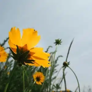 Nieuwe Ruimte | 10 maart 2023 | Dagevent