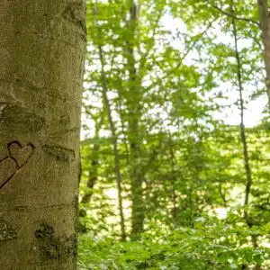 Nieuwe Ruimte + Lied van de Ziel | combi-ticket vrij 3 april 2026 | Amsterdam